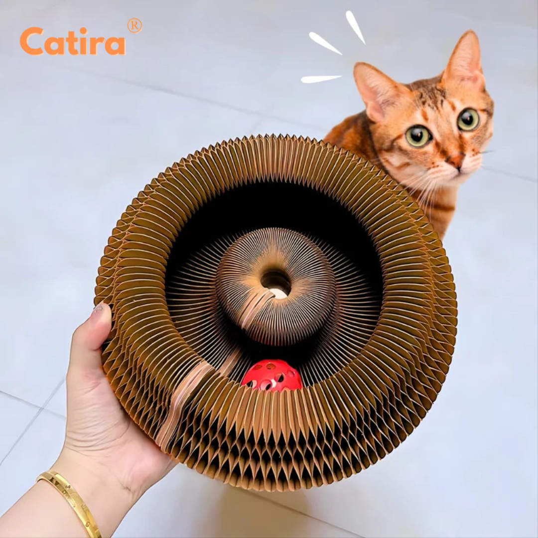 Catira™ Purrélico