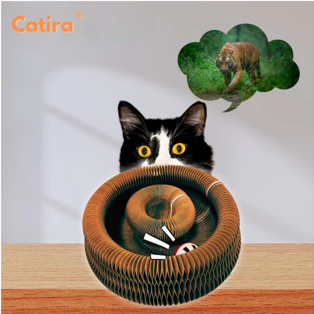 Catira™ Purrélico