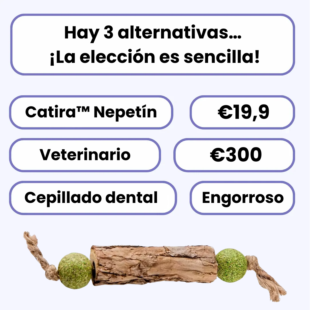 Catira™ Nepetín