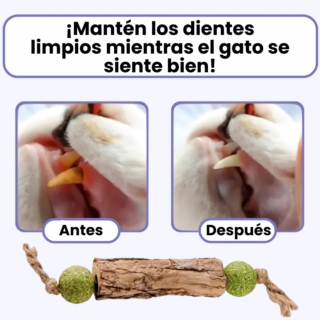 Catira™ Nepetín