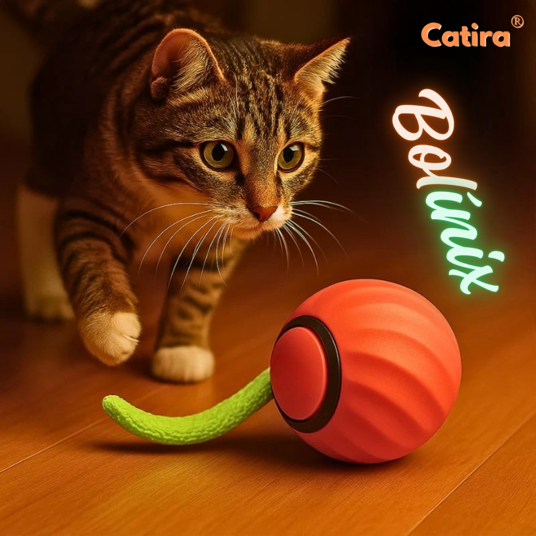 Catira™ Bolínix