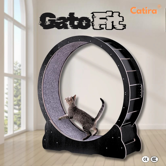 Catira™ GatoFit