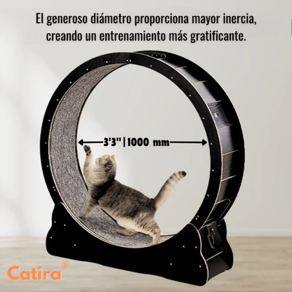 Catira™ GatoFit
