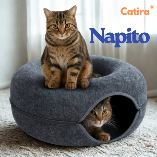 Catira™ Napito