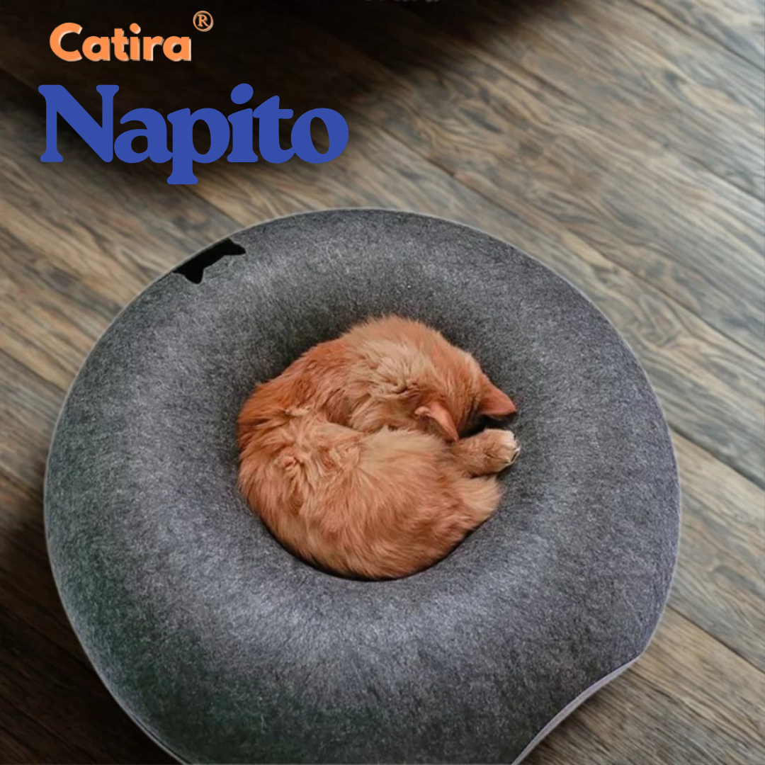 Catira™ Napito